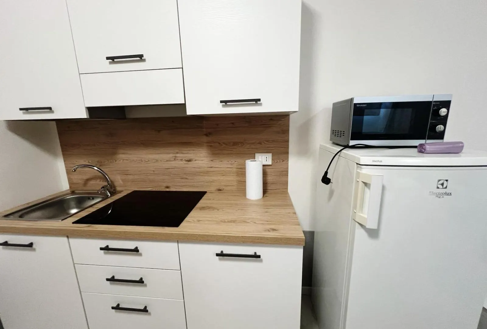 White Roses- Free Park Mazzini Sant'Orsola Apartment Bologna